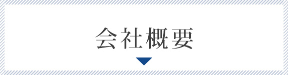 概要
